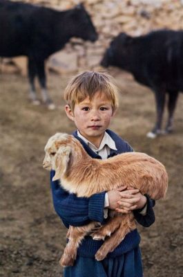  關於《農夫彼得和他的動物們》的迷人旅程：探索人與動物之間的奇妙關係！